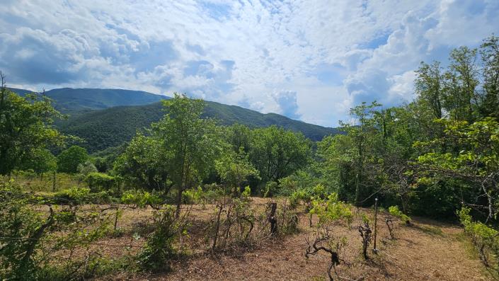 Image No.11-5 Bed Farmhouse for sale