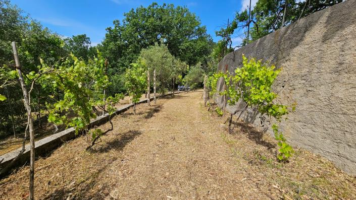 Image No.12-5 Bed Farmhouse for sale