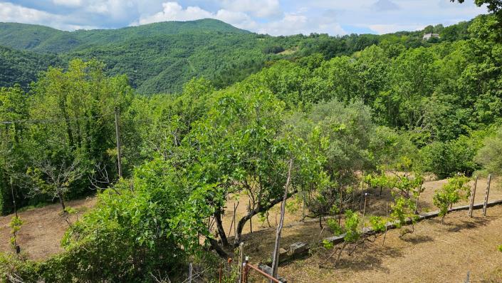 Image No.10-5 Bed Farmhouse for sale