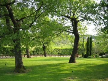 8_Park-with-ancient-Oaks_1