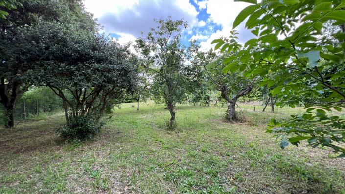 Image No.22-4 Bed Farmhouse for sale