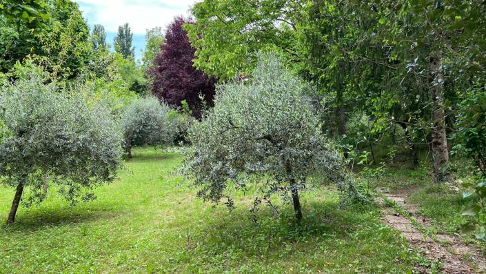 Image No.22-3 Bed Farmhouse for sale