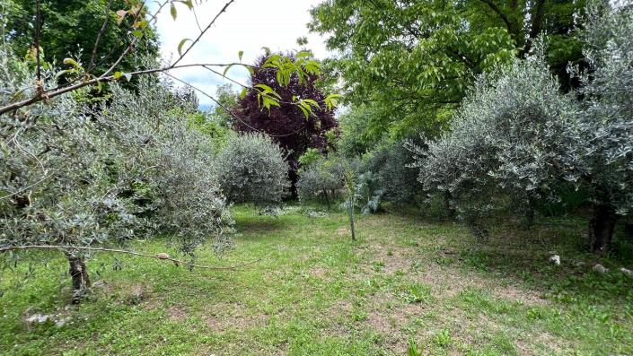 Image No.24-3 Bed Farmhouse for sale