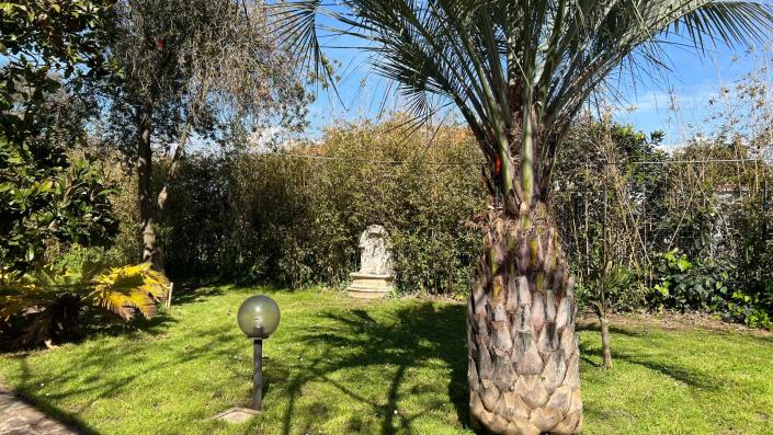 Image No.25-6 Bed House for sale