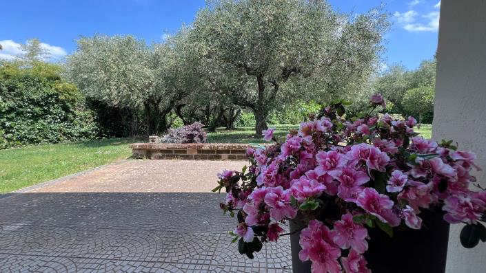 Image No.8-Maison de village de 4 chambres à vendre à Sutri