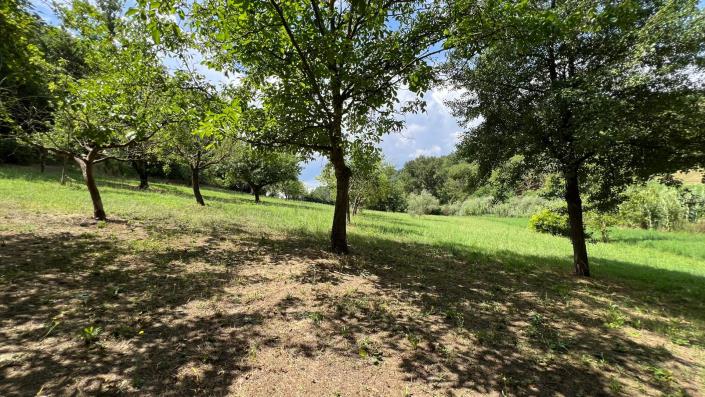 Image No.21-3 Bed Country House for sale