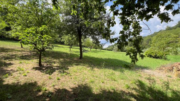 Image No.16-3 Bed Country House for sale