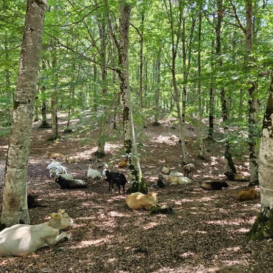 Image No.25-Appartement de 4 chambres à vendre à Rieti