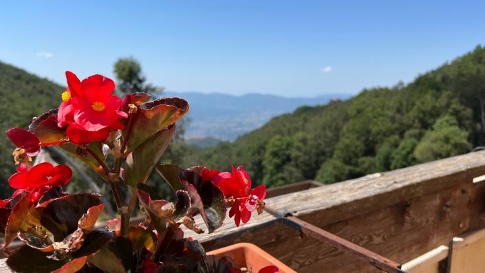 Image No.2-Appartement de 4 chambres à vendre à Rieti