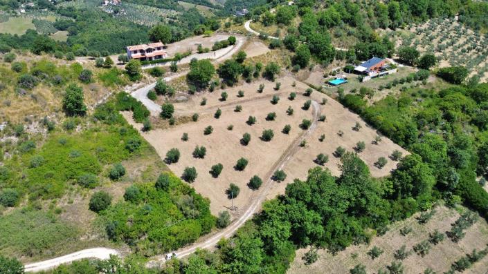 Image No.20-3 Bed Country House for sale