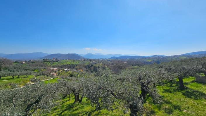 Image No.2-4 Bed Country House for sale