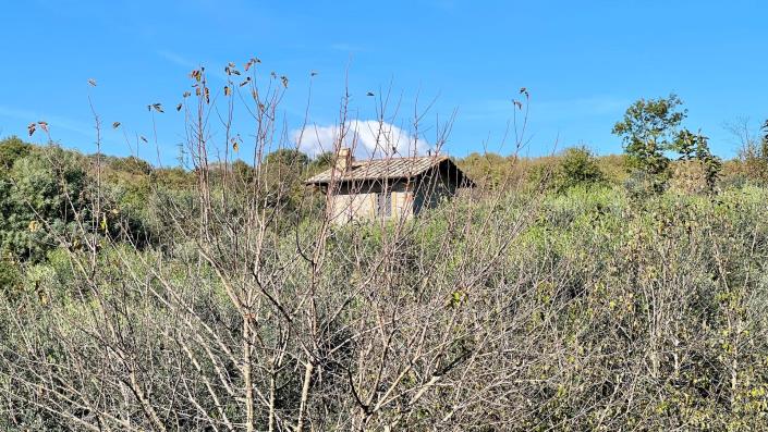 Image No.22-Maison de campagne de 4 chambres à vendre à Capranica