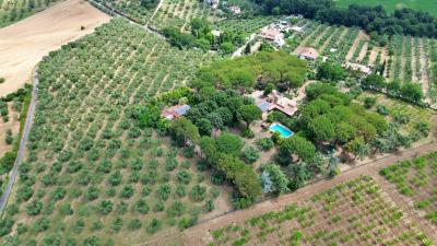 1 - Rieti, Villa