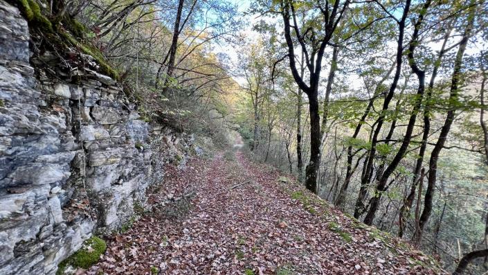 Image No.16-Propriété de pays de 11 chambres à vendre à Sellano