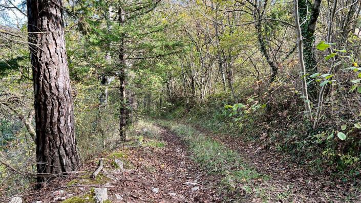 Image No.18-Propriété de pays de 11 chambres à vendre à Sellano