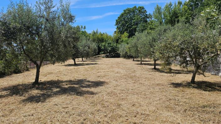 Image No.7-5 Bed Country Property for sale