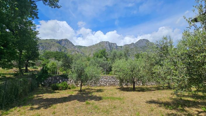 Image No.16-5 Bed Country Property for sale