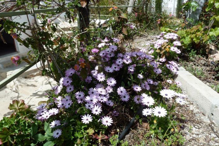 Image No.27-4 Bed Villa for sale