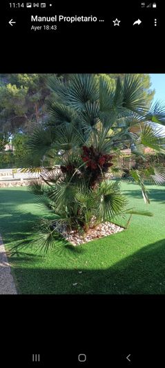 Image No.39-6 Bed Villa for sale