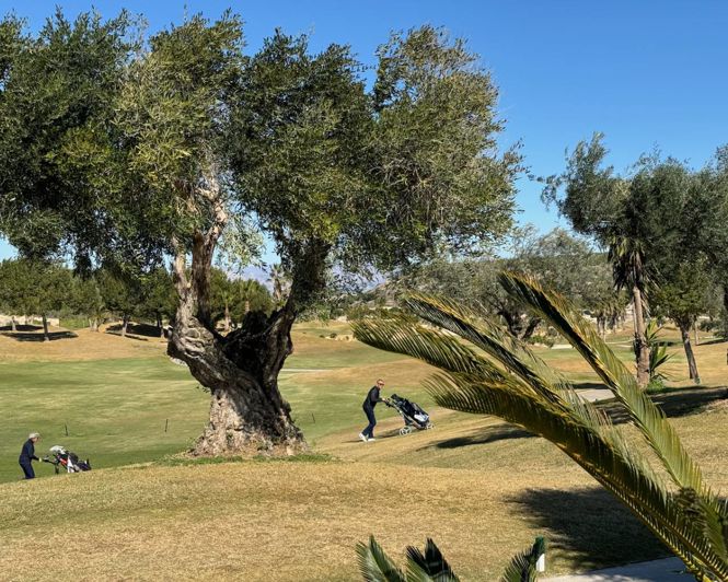 Image No.10-Villa de 3 chambres à vendre à Los Montesinos