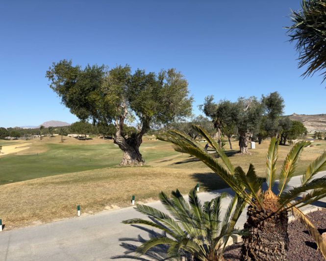 Image No.11-Villa de 3 chambres à vendre à Los Montesinos