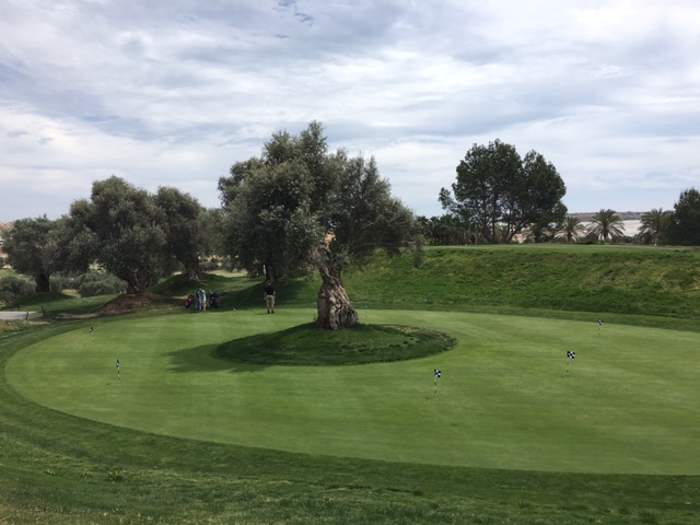 Image No.16-Villa de 3 chambres à vendre à Algorfa