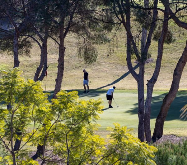 Image No.3-4 Bed Villa for sale