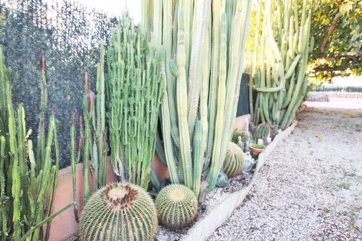 Image No.32-5 Bed Villa for sale