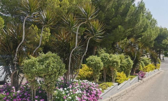 Image No.32-Appartement de 2 chambres à vendre à Orihuela Costa