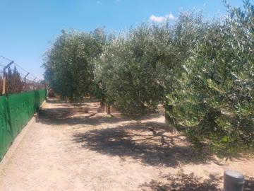 Image No.18-3 Bed Villa for sale