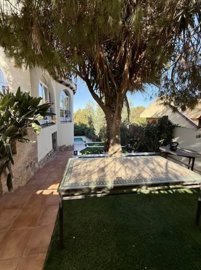 zenia25xlarge