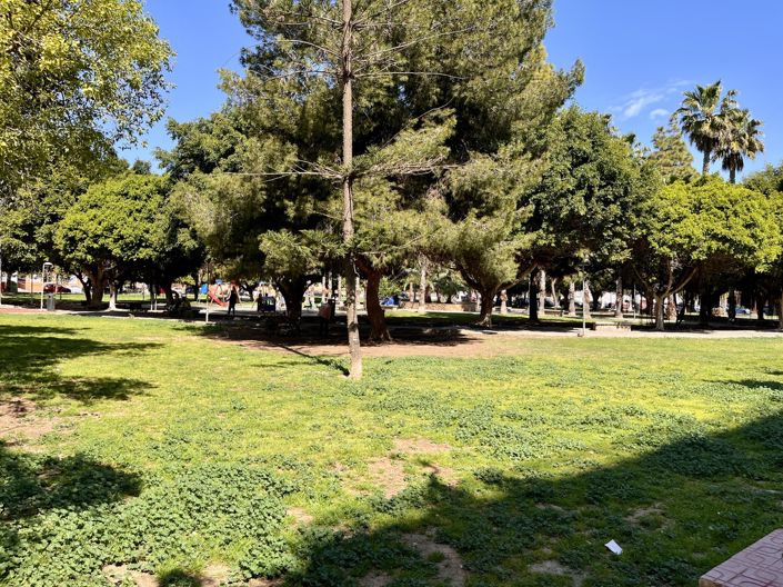 Image No.28-Appartement de 3 chambres à vendre à Torrevieja