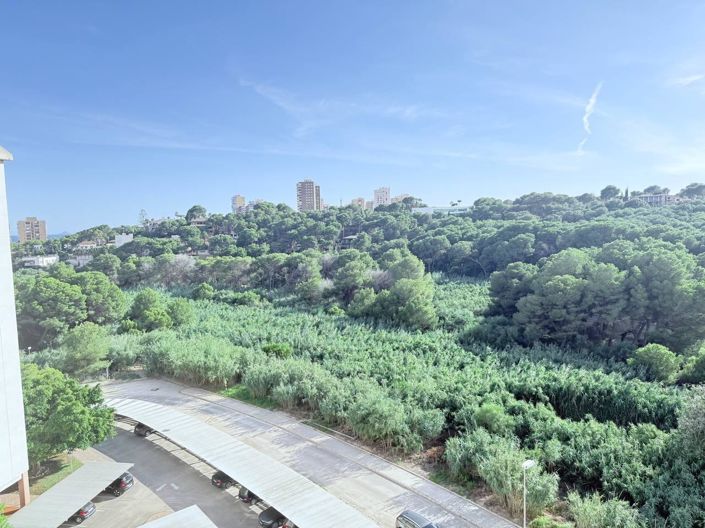 Image No.15-Appartement de 3 chambres à vendre à Orihuela Costa