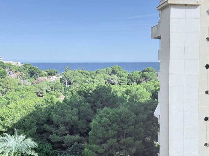 Image No.24-Appartement de 3 chambres à vendre à Orihuela Costa