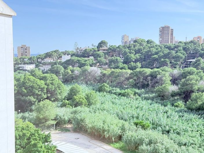 Image No.25-Appartement de 3 chambres à vendre à Orihuela Costa