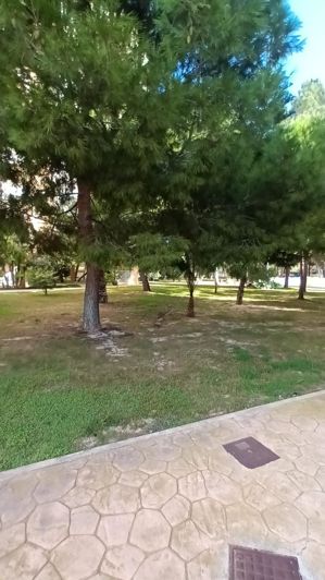 Image No.29-Appartement de 3 chambres à vendre à Orihuela Costa