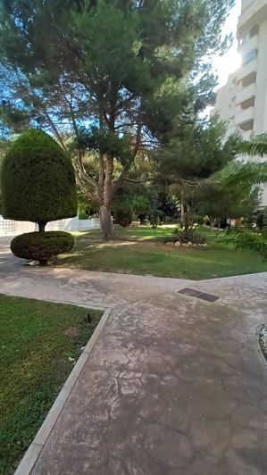 Image No.32-Appartement de 3 chambres à vendre à Orihuela Costa