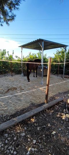 Image No.27-Villa de 6 chambres à vendre à Orihuela