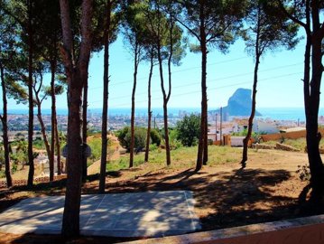 property233148561