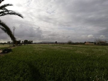 finca-callosa-de-segura-dh-p2162-8