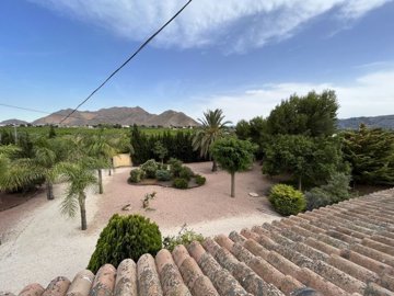 villa-callosa-de-segura-m277452-18