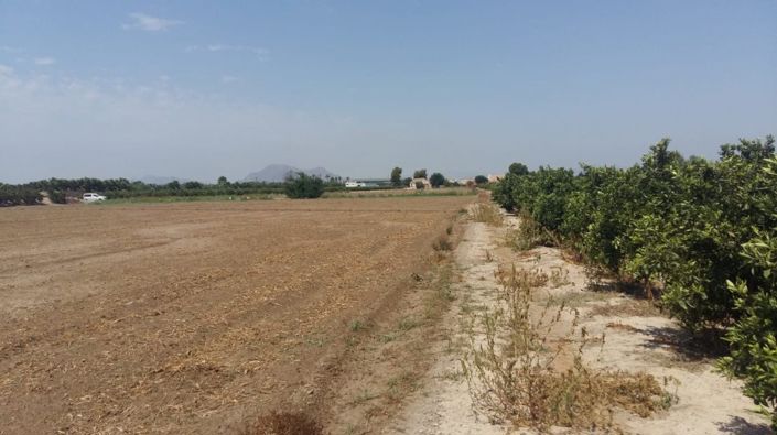 Image No.3-Villa de 3 chambres à vendre à Daya Nueva