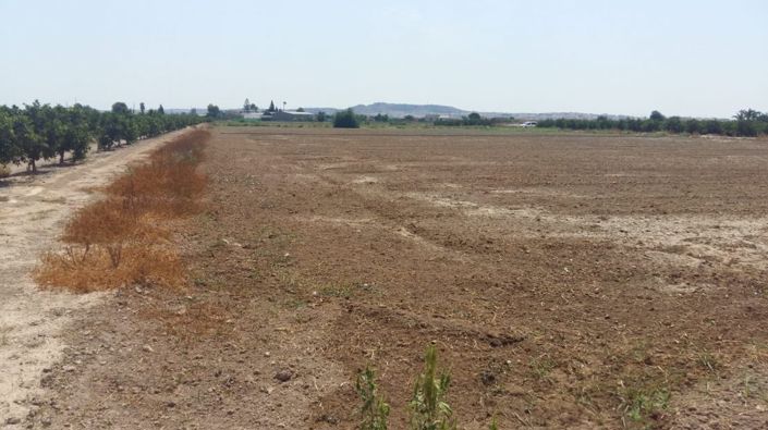 Image No.4-Villa de 3 chambres à vendre à Daya Nueva