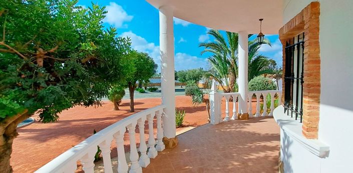 Image No.20-Villa de 3 chambres à vendre à Catral