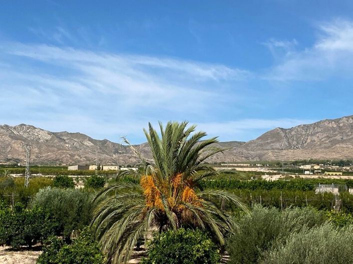 Image No.43-5 Bed Villa for sale