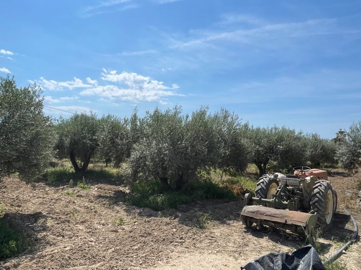 Image No.19-4 Bed Villa for sale