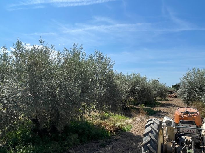 Image No.20-4 Bed Villa for sale