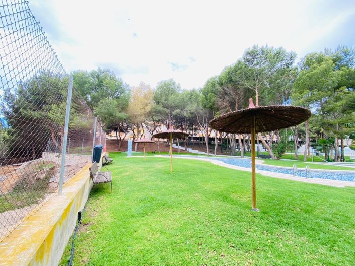 Image No.37-Appartement de 1 chambre à vendre à Orihuela Costa