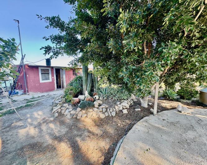 Image No.26-Villa de 4 chambres à vendre à Guardamar del Segura