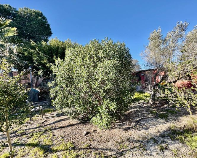 Image No.29-Villa de 4 chambres à vendre à Guardamar del Segura